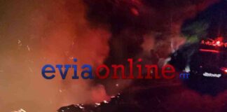 Φωτιές από κεραυνούς ξέσπασαν στην Εύβοια