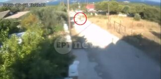 Κορινθία: Το βίντεο που «έκαψε» την 57χρονη που συνελήφθη για εμπρησμό από πρόθεση