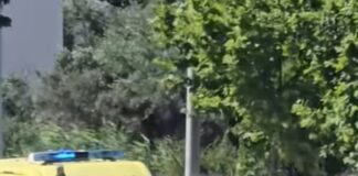 Ρόδος: Άνδρας κυκλοφορούσε γυμνός στο Φαληράκι και ανέβηκε στην οροφή ασθενοφόρου