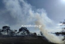 Σε ύφεση η φωτιά στον Άγιο Δημήτριο Κορινθίας