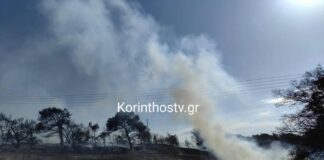 Σε ύφεση η φωτιά στον Άγιο Δημήτριο Κορινθίας
