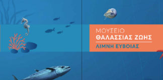 Εγκαινιάζεται στις 5 Ιουνίου το «Μουσείο Θαλάσσιας Ζωής» στη Λίμνη Ευβοίας