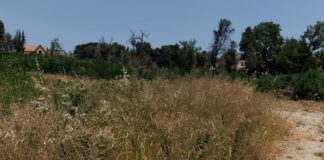 Ακαθάριστα οικόπεδα: Επικοινωνία μέσω Taxisnet απευθείας με τους ιδιοκτήτες ζητεί η ΚΕΔΕ