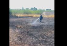 Οριοθετήθηκε σε 15 λεπτά η φωτιά που ξέσπασε στη Σταμάτα