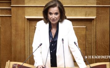 Ντ. Μπακογιάννη: «Δεν είμαι καθόλου σίγουρη για την εξαετή θητεία του ΠτΔ»