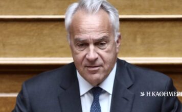 Ο Μάκης Βορίδης πρόεδρος της Επιτροπής Αναθεώρησης του Συντάγματος