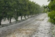 Έντονη χαλαζόπτωση στον κάμπο της Βεγόρας προκαλεί ολοκληρωτική καταστροφή σε πλήθος καλλιεργειών
