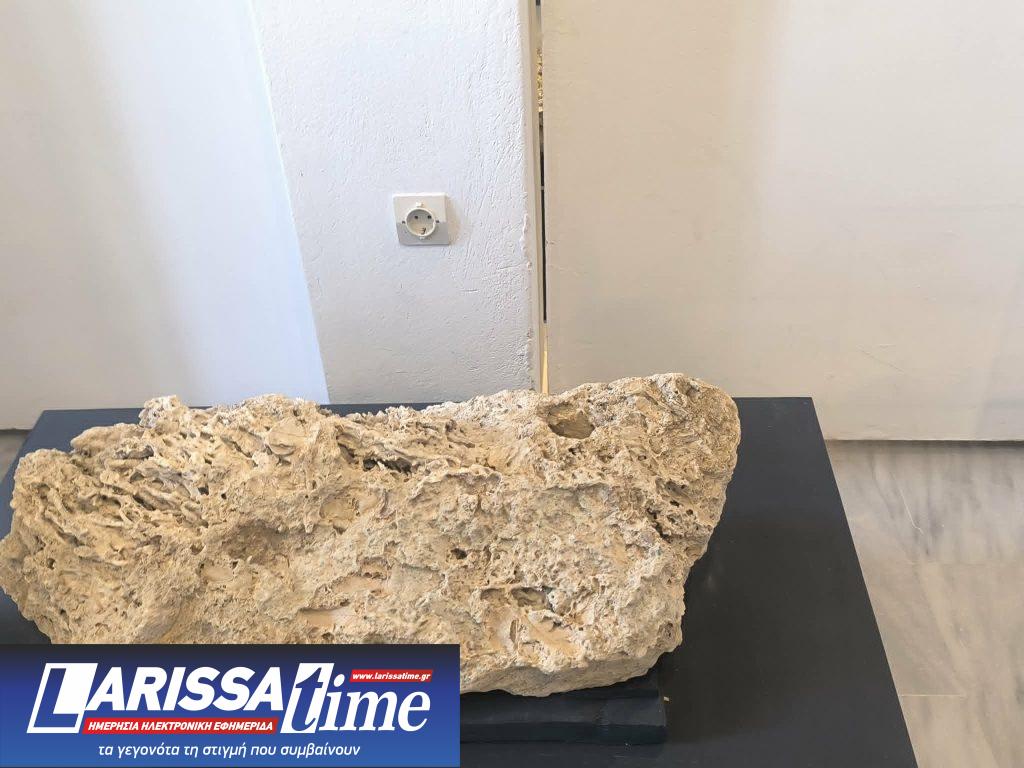 Έκθεση με απολιθώματα της Βόρειας Εύβοιας στο Μουσείο Φυσικής Ιστορίας Απολιθωμένου Δάσους Λέσβου