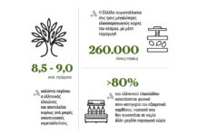 Το χτίσιμο μιας μοναδικής ταυτότητας είναι η μεγάλη στρατηγική επιλογή για υπεραξία στο ελαιόλαδο