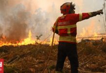 Μεγάλη φωτιά στην Πορτογαλία: Επιχειρούν πάνω από 1.000 πυροσβέστες – Έκαψε 100.000 στρέμματα