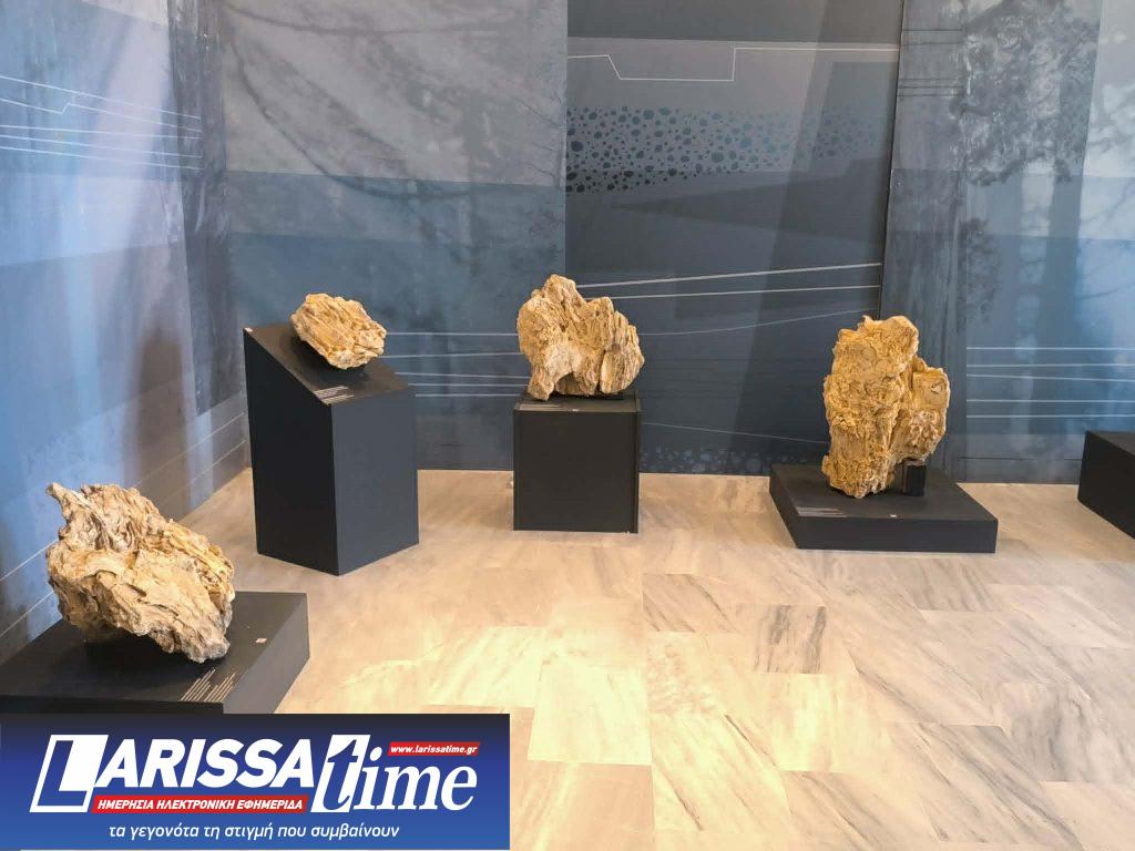 Έκθεση με απολιθώματα της Βόρειας Εύβοιας στο Μουσείο Φυσικής Ιστορίας Απολιθωμένου Δάσους Λέσβου