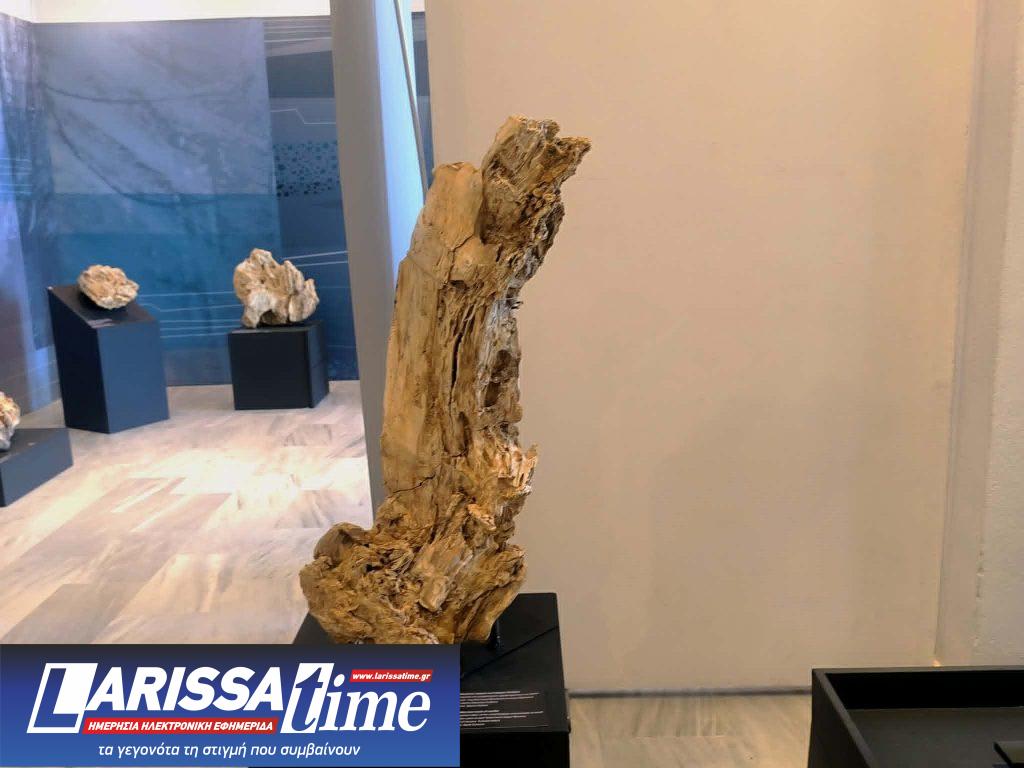 Έκθεση με απολιθώματα της Βόρειας Εύβοιας στο Μουσείο Φυσικής Ιστορίας Απολιθωμένου Δάσους Λέσβου