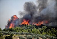 Πολιτική Προστασία: Πολύ υψηλός κίνδυνος πυρκαγιάς σήμερα σε Αττική, Κρήτη και άλλες 4 περιφέρειες