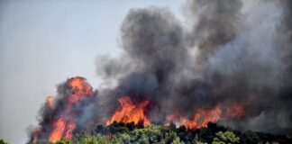Πολιτική Προστασία: Πολύ υψηλός κίνδυνος πυρκαγιάς σήμερα σε Αττική, Κρήτη και άλλες 4 περιφέρειες