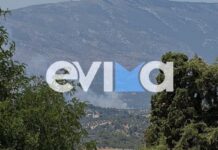 Χωρίς ενεργό μέτωπο η πυρκαγιά στην Επισκοπή Εύβοιας