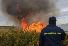 Πήλιο: Φωτιά σε δασική έκταση στο Νεοχώρι