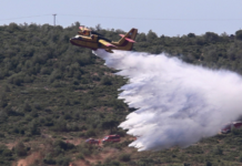 Πυρκαγιά σε χαμηλή βλάστηση στον Τύρναβο