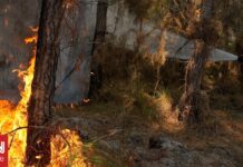 Γαλλία: Οι υψηλές θερμοκρασίες και οι άνεμοι τροφοδοτούν ξανά τη φωτιά στη Ζιρόντ