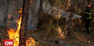 Γαλλία: Οι υψηλές θερμοκρασίες και οι άνεμοι τροφοδοτούν ξανά τη φωτιά στη Ζιρόντ