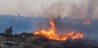 Πυρκαγιές στην κατεχόμενη Δυτική Όχθη – Εκκενώθηκαν ισραηλινοί οικισμοί