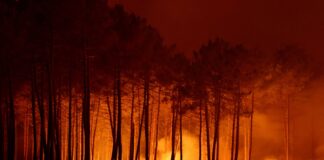 Γαλλία: Συναγερμός στο Μπορντό – Οι πύρινες φλόγες απειλούν ολόκληρη την πόλη – Σκέψεις για εκκένωσή της