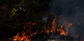 Η Ευρώπη καίγεται: Στις φλόγες Γαλλία και Ισπανία, σε κίνδυνο Ελλάδα, Ιταλία – Πόσο σοβαρή θα γίνει η κατάσταση;