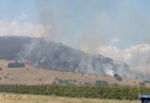 Μαίνεται η φωτιά στον Αργυρόμυλο Λάρισας – Ενισχύθηκαν οι δυνάμεις πυρόσβεσης