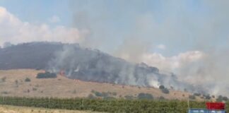 Μαίνεται η φωτιά στον Αργυρόμυλο Λάρισας – Ενισχύθηκαν οι δυνάμεις πυρόσβεσης