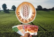 Ένοχοι από το Εφετείο Πλημμελημάτων δύο βασικοί κατηγορούμενοι για την υπόθεση των παράνομων επιδοτήσεων με επίκεντρο τα Γιαννιτσά