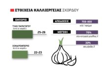 Μέχρι 26 λεπτά το «κεφάλι» ο πήχης διεκδικήσεων φέτος από παραγωγούς σκόρδου