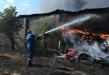Σύλληψη για φωτιά σε ξερά χόρτα στην Αθήνα – Πρόστιμο 1.312 ευρώ στη Χίο