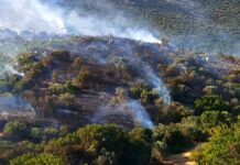Χωρίς ενεργό μέτωπο η φωτιά στην Αγία Ελένη Τροιζηνίας