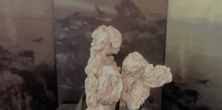 Έκθεση με απολιθώματα της Βόρειας Εύβοιας στο Μουσείο Φυσικής Ιστορίας Απολιθωμένου Δάσους Λέσβου