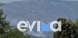 Εύβοια: Φωτιά στην Επισκοπή – Μήνυμα από το 112 για εκκένωση του οικισμού