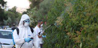 Επιβεβαιώθηκε κρούσμα του ιού του Δυτικού Νείλου στη Γλυφάδα – Άρχισαν από σήμερα οι ψεκασμοί
