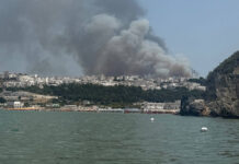 Μεγάλη πυρκαγιά στην Ιταλία – Η ακτοφυλακή στην Απουλία εκκενώνει την περιοχή από τουρίστες διά θαλάσσης