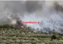 Μεγάλη φωτιά στο Σπαθοβούνι Κορινθίας: Ήχησε το 112, ενισχύθηκαν οι δυνάμεις πυρόσβεσης