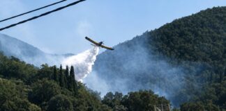 Φωτιά στο Ακόντιο Βοιωτίας – Επιχειρούν δύο εναέρια μέσα