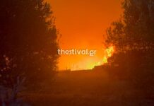 Φωτιά στο Ωραιόκαστρο Θεσσαλονίκης: Εκκενώνεται το Ίδρυμα Χρόνιων Παθήσεων «Άγιος Παντελεήμων»