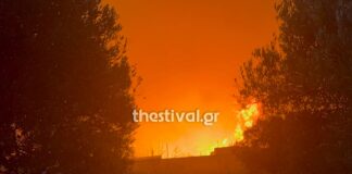 Φωτιά στο Ωραιόκαστρο Θεσσαλονίκης: Εκκενώνεται το Ίδρυμα Χρόνιων Παθήσεων «Άγιος Παντελεήμων»