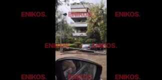 Κακοκαιρία στην Αττική: Πτώση δέντρου και κολώνας στο Ψυχικό