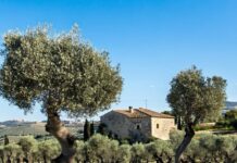 Η ΚΑΠ να σχεδιαστεί για τις ανάγκες των αγροτών λέει η Ευρωπαϊκή Επιτροπή των Περιφερειών
