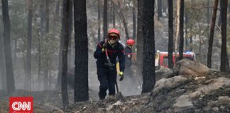Ρεκόρ καμένων εκτάσεων μέχρι τα μέσα Ιουλίου στη Γαλλία – Στάχτη πάνω από 420.000 στρέμματα