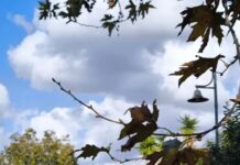 Πρόσκαιρες νεφώσεις και θερμοκρασία αμετάβλητη έως 38 βαθμούς τοπικά