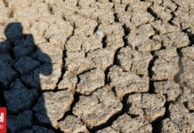 Σε κατάσταση ξηρασίας η μισή Αγγλία – Στο 7% το επίπεδο των βροχών