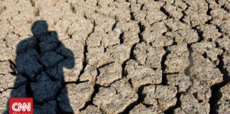 Σε κατάσταση ξηρασίας η μισή Αγγλία – Στο 7% το επίπεδο των βροχών