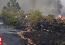 Ιταλία: Ρεκόρ πυρκαγιών το τελευταίο 24ωρο – Προβλήματα σε οδικό και σιδηροδρομικό δίκτυο
