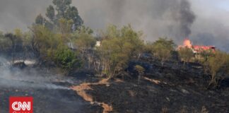Ιταλία: Ρεκόρ πυρκαγιών το τελευταίο 24ωρο – Προβλήματα σε οδικό και σιδηροδρομικό δίκτυο