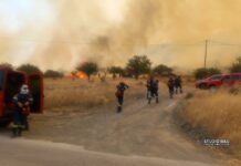 Μαίνεται η φωτιά στην Επίδαυρο: Ενισχύθηκαν οι εναέριες δυνάμεις