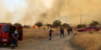 Μαίνεται η φωτιά στην Επίδαυρο: Ενισχύθηκαν οι εναέριες δυνάμεις